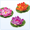 Gardening, Plants, Planting, Bulbs, Seeds, Plant Containers, Herb Seeds, Flower Seeds, Vegetable Seeds, Fruit Seeds, Flower Bulbs, Trees