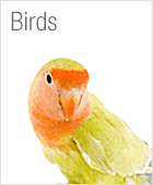 Bird supplies