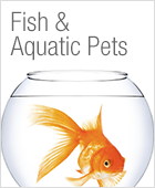 Fish and aquatic pet supplies