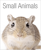 Small animal supplies