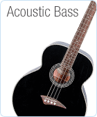 Acoustic Bass Guitars