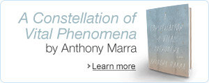 A Constellation of Vital Phenomena