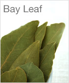 Bay Leaf