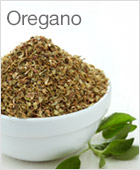 Oregano