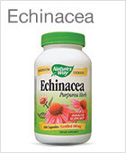 Echinacea