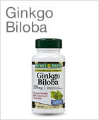 Ginkgo Biloba