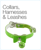 Collars, Leashes & Harnesses