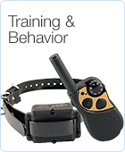 Training and Behavior