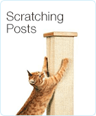 Scratching Posts