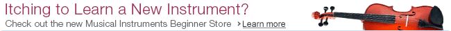 The Headphones Store