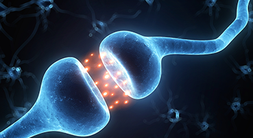 Mathematical Mindsets