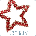 January Birthstone : Garnet