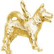 Dog Akita Charm