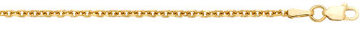 14k Gold Rolo Chain