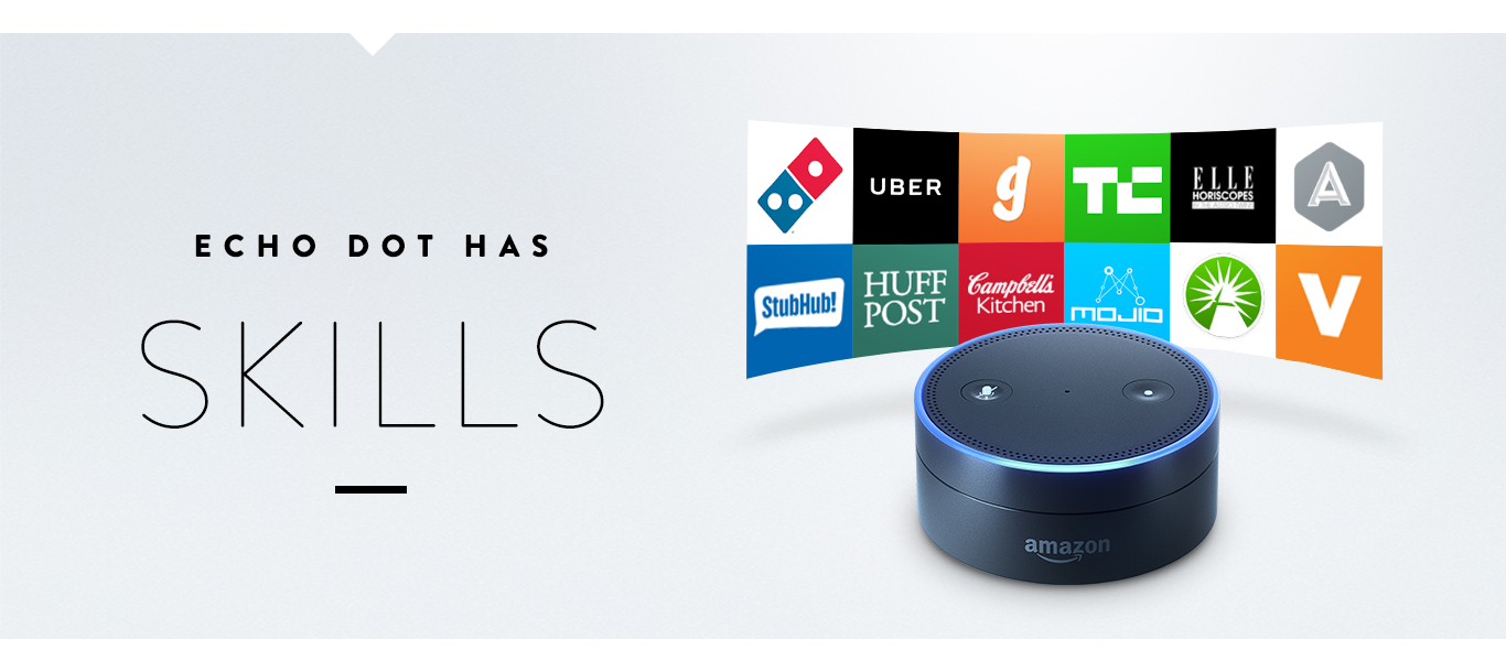 Echo Dot has skills