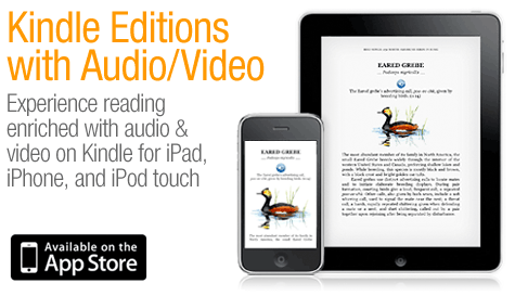 Kindle Editions with Audio and Video