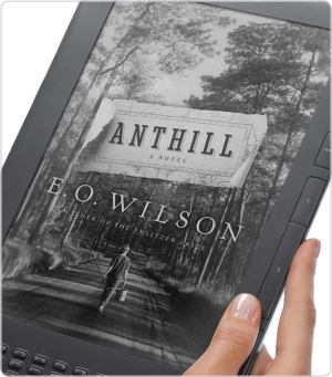 Sharp display with 16 shades of gray