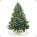 Shop for Christmas trees