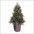 Save up to 30% on Select Holiday D�cor