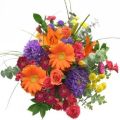 Fresh Cut Flowers