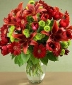 Holiday Flowers from ProFlowers