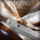 Shun Premier