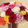 Roses