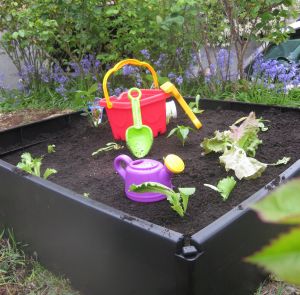 http://g-ecx.images-amazon.com/images/G/01/kitchen/blog/veggies._V224627453_.jpg