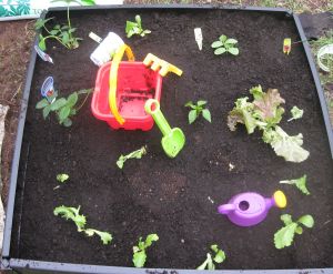http://g-ecx.images-amazon.com/images/G/01/kitchen/blog/veggies2._V224627426_.jpg
