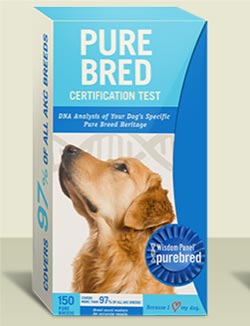 Wisdom Panel Designer Dog box photo