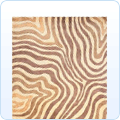 5 x 8 Rugs