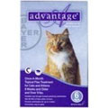Save up to 50% on flea and tick meds
