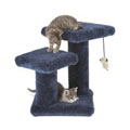 Save up to 40% on cat essentials