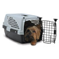 Save up to 40% on dog essentials