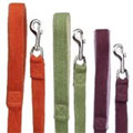 Shop Green pet products