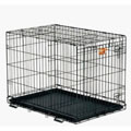 New Dog Supplies