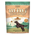 Shop Green Products for Every Pet