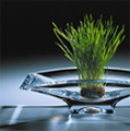 Shop for Namb� at Amazon.com