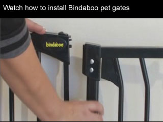 Click to watch this video