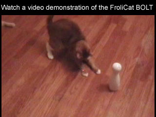 Click to watch this video