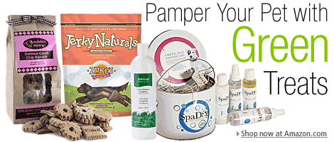 Check out eco-friendly cooking tools