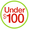 Automotive gifts under $100