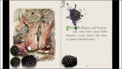 PopOut! The Tale of Peter Rabbit