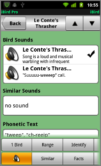 Five hours of bird-song audio
