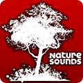 Nature Sounds