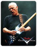 David Gilmour