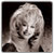 Dolly Parton