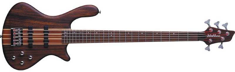 Washburn Taurus T25