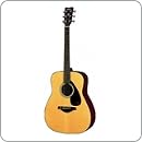 Guitars at Amazon.com