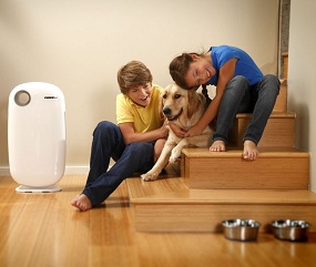 Oreck Air Instinct Air Purifier